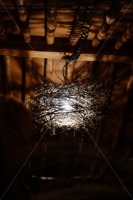 인테리어,조명,둥지,천장,빛,등,서까래,전통,둥지조명,light,검정색,나무,디자인,시골,옛날,감성,나무지붕,전기,인테리어,실내디자인,interior design