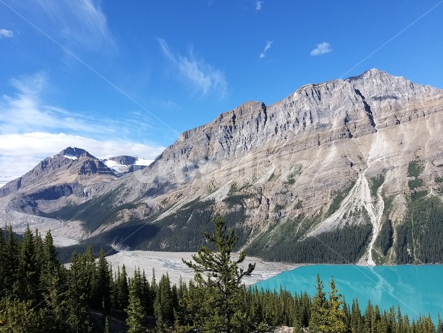 나무,tree,plant,식물,outdoors,nature,전나무,canada,canadarocky,mountainrange,호수,빙하호수,에메랄드호수,에메랄드빛,캐나다,캐나다로키,로키산맥,자연,풍경,nature,landscape,해외,외국,세계,foreign,oversea,world,세계자연풍경,해외자연풍경,외국자연풍경,world nature landscape