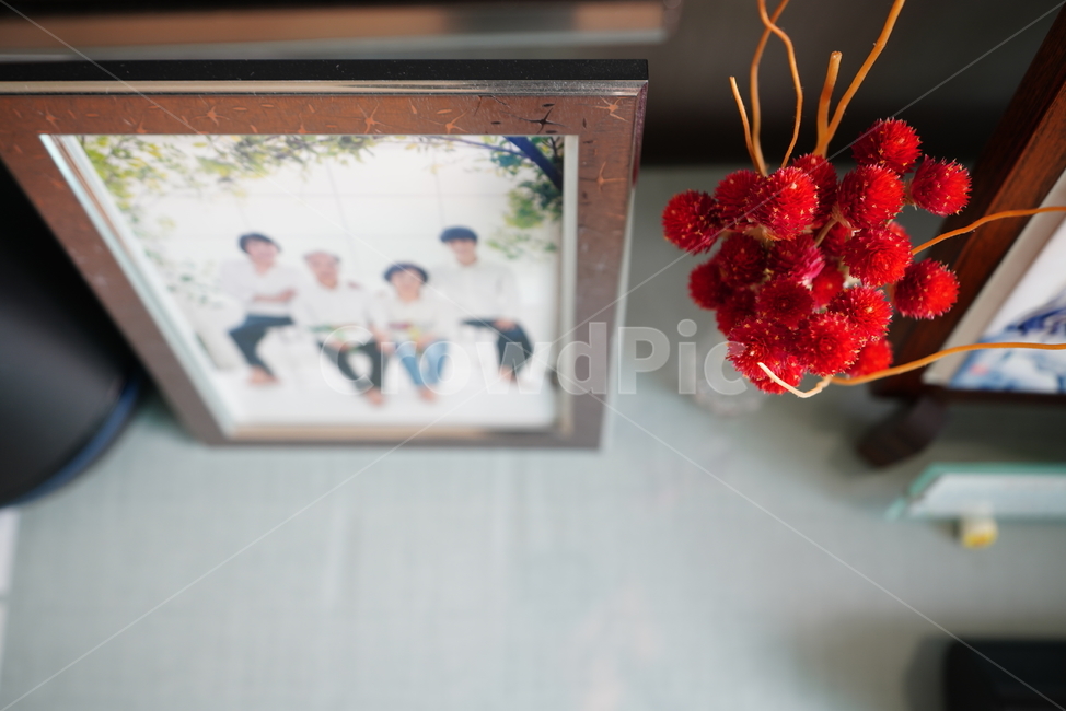 꽃,플라워,식물,색감,컬러,빨강,red,flower,사진,액자,가족,가족,패밀리,family