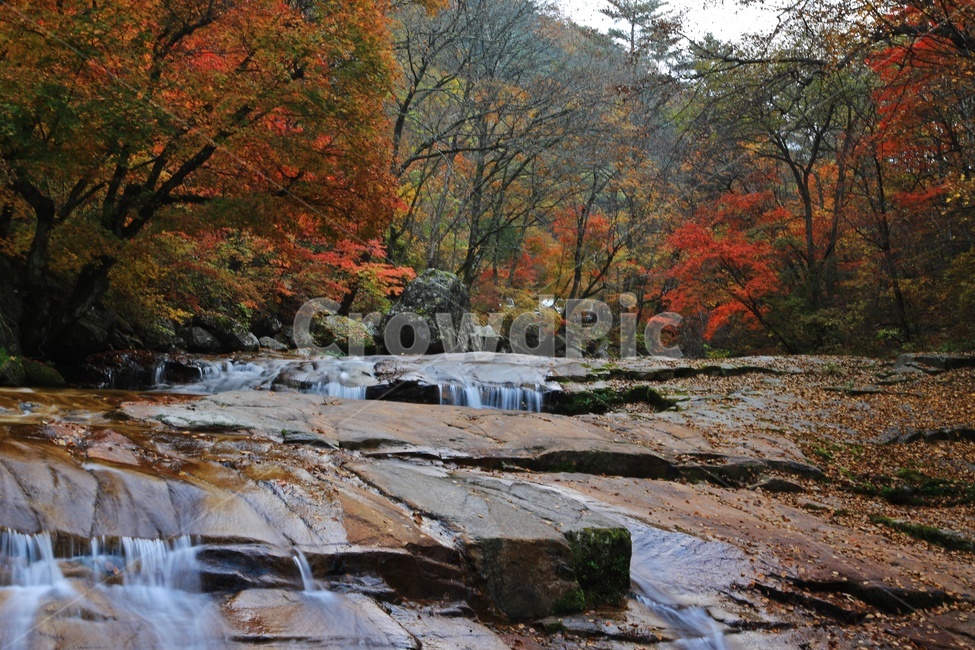 water,물,nature,outdoors,옥외,waterfall,폭포,tree,나무,plant,식물,leaf,잎,stream,흐름,물흐름,강원도,인제,방태산,방태산폭포,방태산가을,단풍,단풍잎,가을,추색,만추,낙엽,계곡,경치,경관,풍경,인제가을