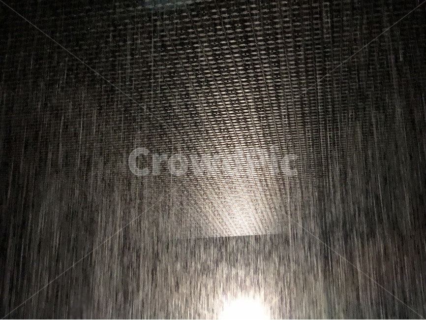 비,빛,불빛,플레어,rain,비,비오는날,rain,rainy