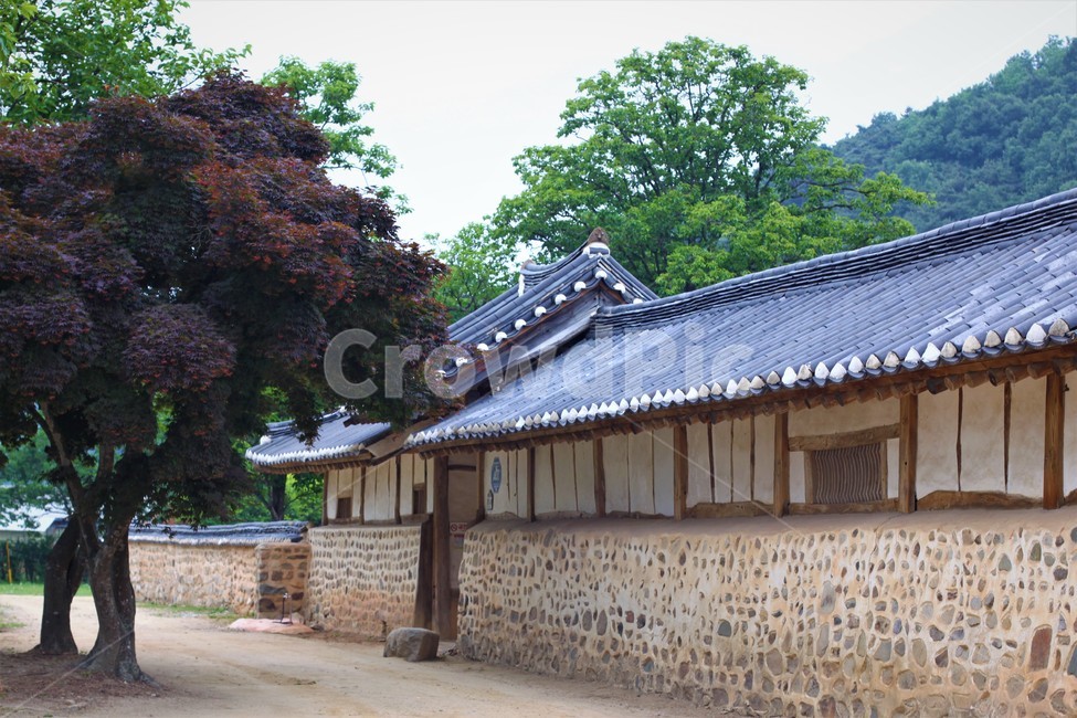 한옥,고택,전통가옥,정원,한국정원