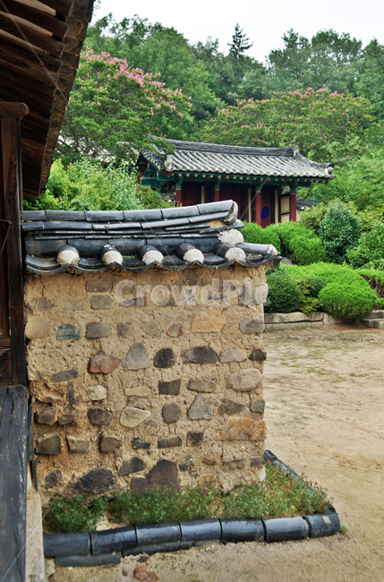 서백당,손소,양동마을,경주,유네스코세계유산,조선시대,전통가옥,양반,문화재,기와집,민속마을,집성촌,향나무,문화재제23호,담장,돌담,한국전통,한국문화,korean traditional,korean culture,건축물,건물외관,exterior,building,structure,architecture,construction