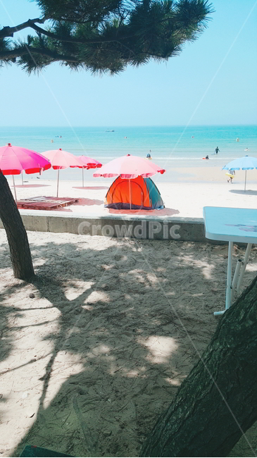 바다,그늘,여름,경치,해변,해변,바다,beach,sea