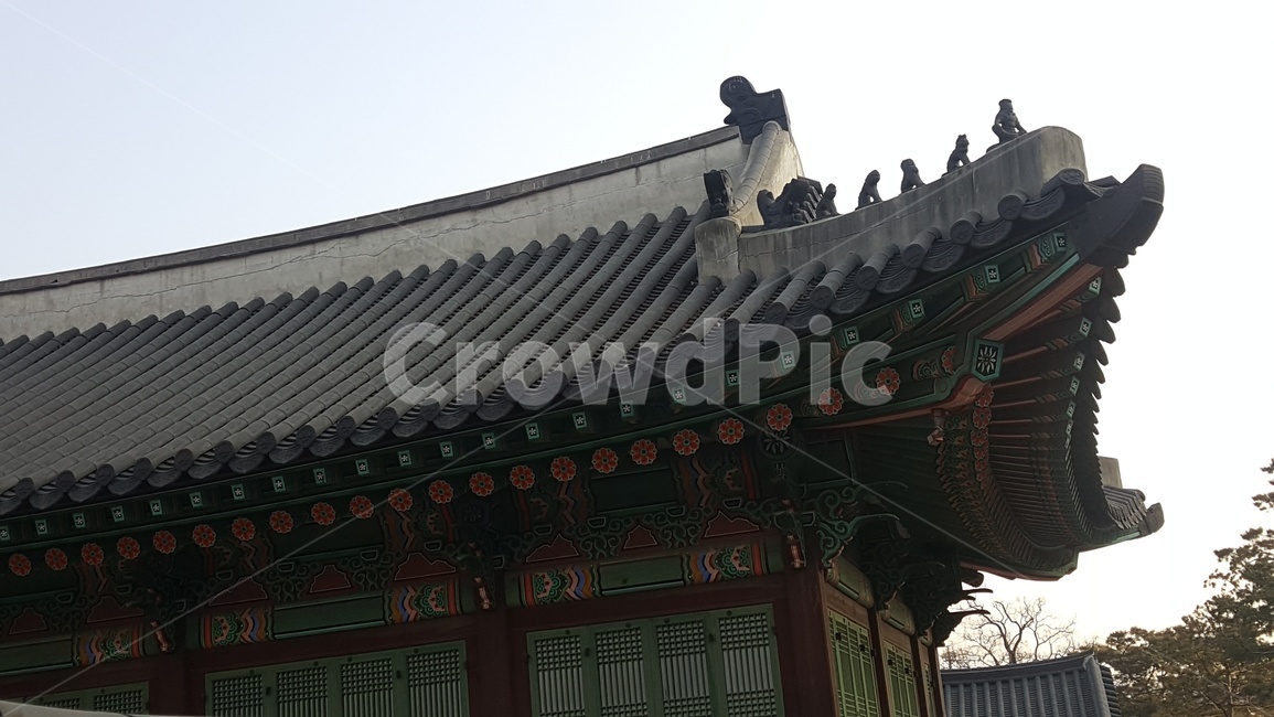창경궁,한옥,한국,전통,korea,한국전통,한국문화,korean traditional,korean culture