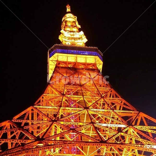 도쿄타워,tower,탑,야경,빛,감성,일본,밤,랜드마크,landmark