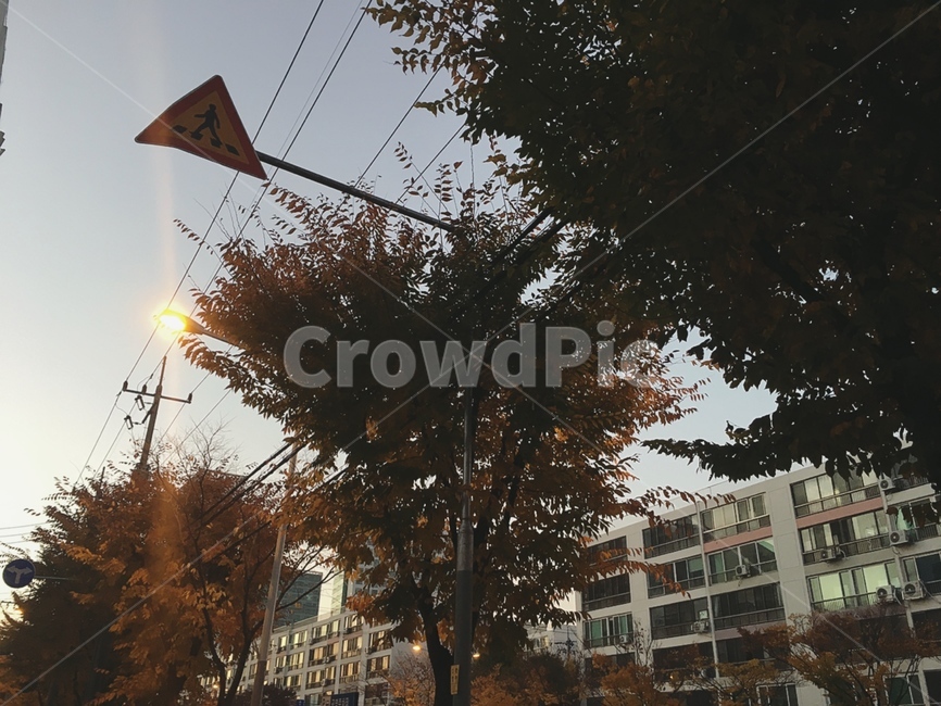 가을풍경,가을,풍경,감성,나무,trees,autumn,fall,감성사진,skyview,배경