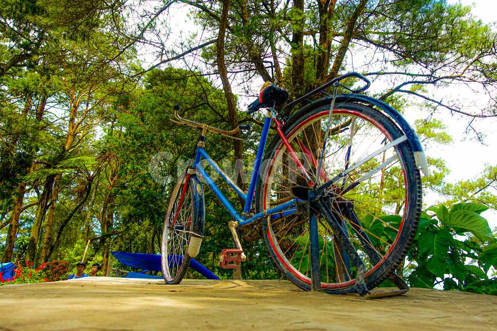 wheel,바퀴,자전거,bicycle,자연