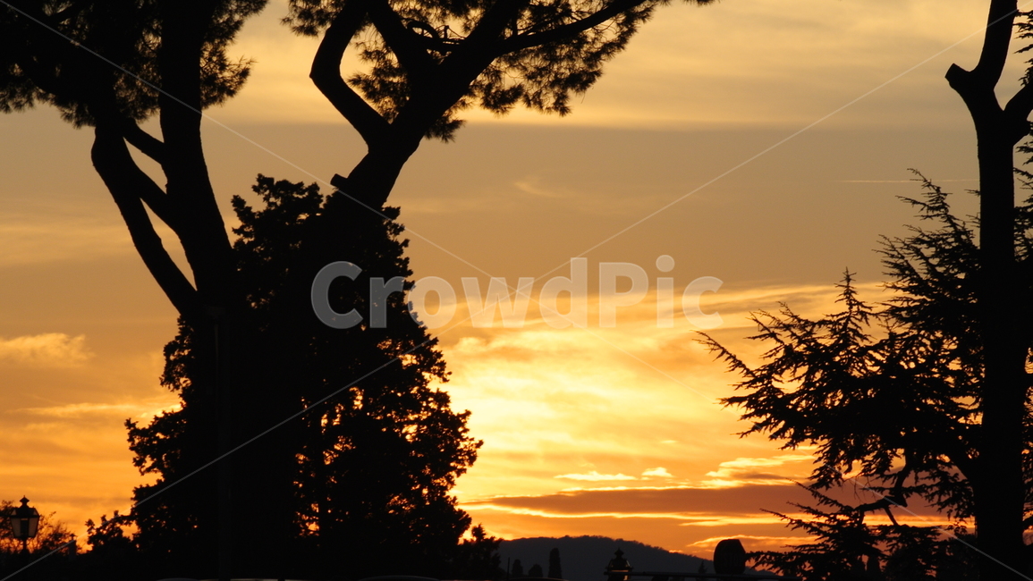 sunlight,햇빛,tree,나무,plant,식물,nature,자연,황혼,sunset,일몰,outdoors,옥외,dawn,새벽,redsky,붉은하늘,노을,하늘