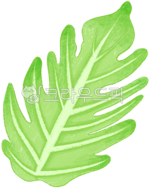 Illustration,illustration,leaf,leaflet,leaf,leaf,plant,plant illustration,nature,environment,plant drawing,colored pencil,digital drawing,green,green,natural object,Arbor Day,botanical,botanical,botanical illustration,botanical illustr