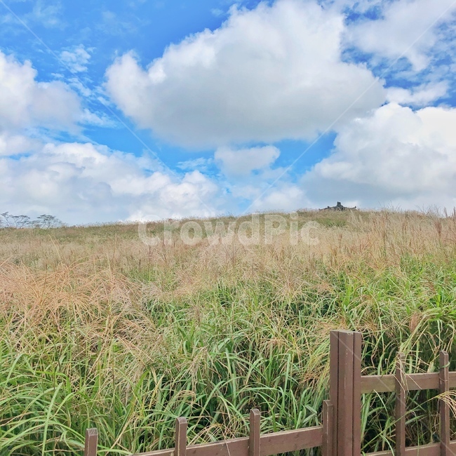 제주도,풍경,오름,억새,가을,하늘,구름,jejuisland,outdoor,sky,fall,autumn,자연,풍경,nature,landscape