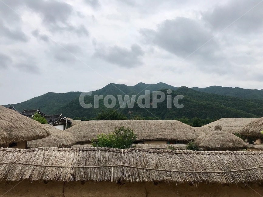 안동,초가집,초가지붕,하회마을,시골마을,시골집,시골,마을,풍경,landscape,country,rural,town,한국전통,한국문화,korean traditional,korean culture
