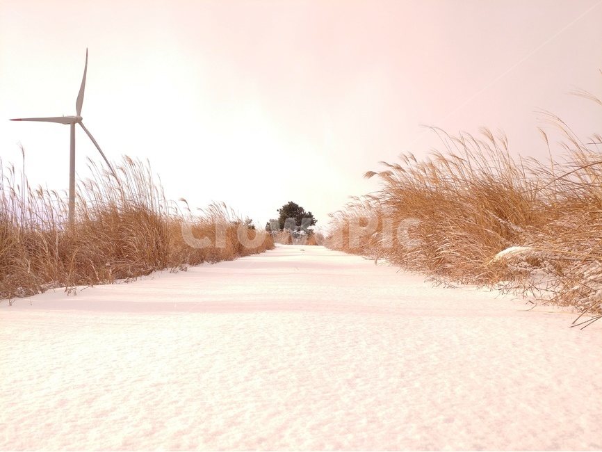 눈,겨울,풍경,감성,제주,제주풍경,하늘,구름,자연,바다,파도,겨울,계절,winter,season,자연,풍경,nature,landscape,outdoors,옥외