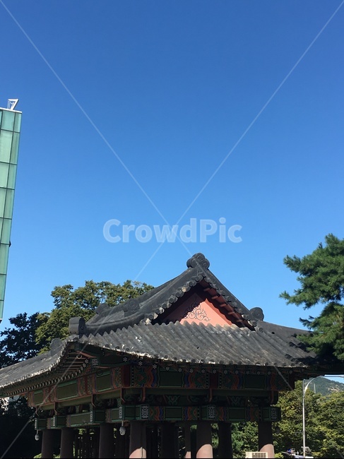 roof,지붕,한옥,한옥하늘,하늘