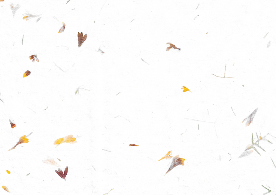 한지,꽃잎,질감,배경,종이,한국,전통,plant,식물,leaf,잎,명절,한국전통,한국문화,korean traditional,korean culture
