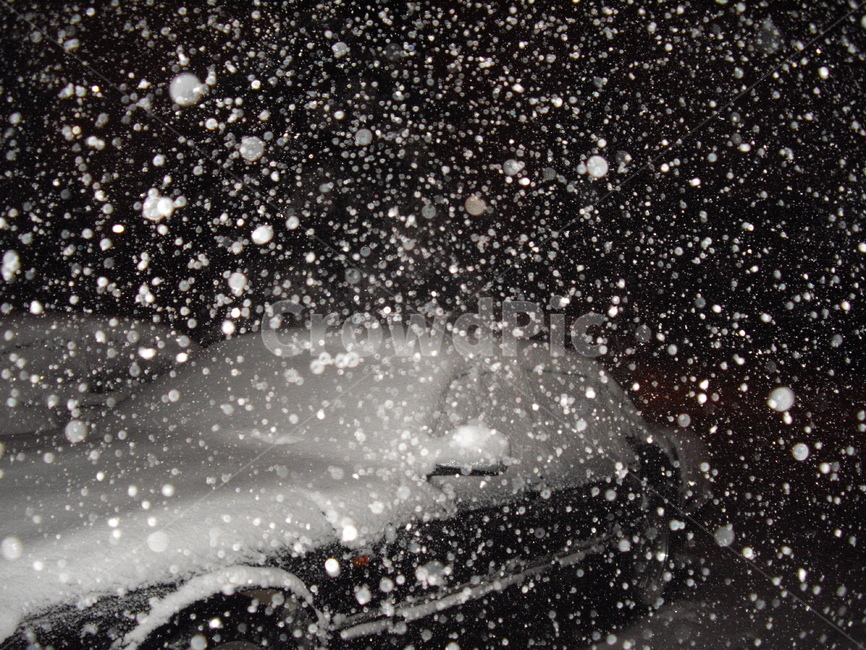 눈꽃,눈,겨울,winter,outdoor,snow,nature,자연,옥외,폭설,겨울,계절,winter,season,야경,밤,풍경,nightscape,night,landscape