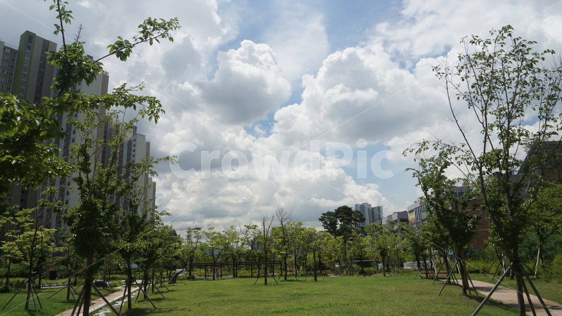 구름,하늘,산책로,잔디,여유,도시,풍경,city,landscape,한국도시풍경,한국도시경관,korea cityscape,grass,plant,식물,outdoors,옥외,nature,자연