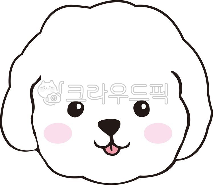 개,강아지,말티즈,동물,반려견,반려동물