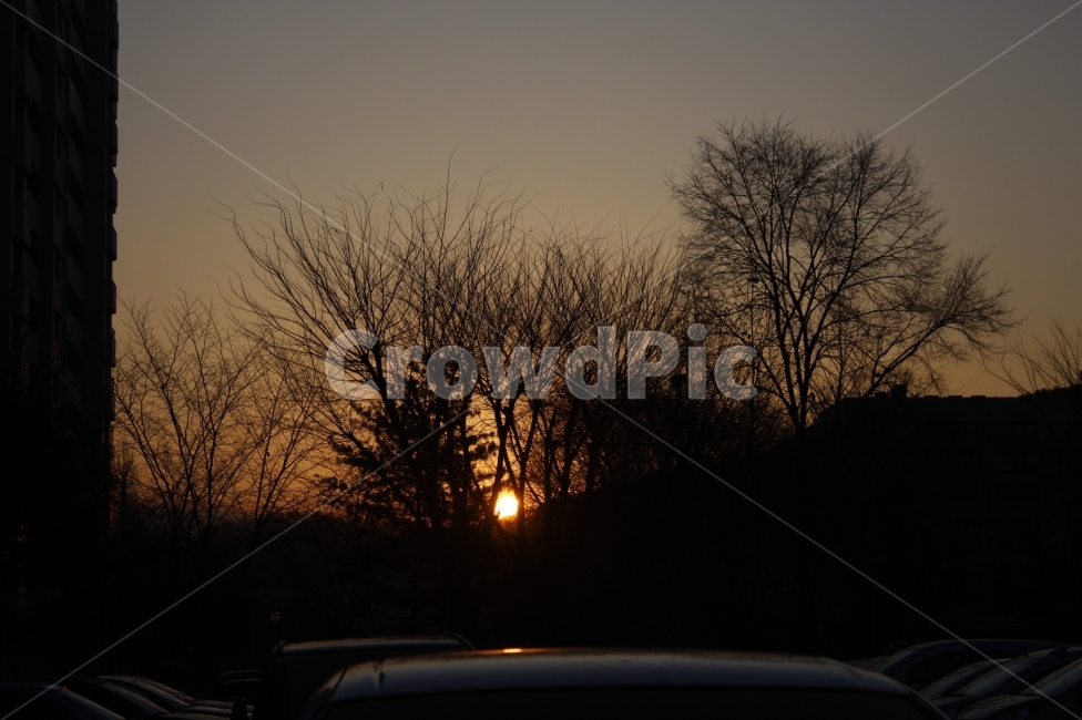 노을,해,역광,배경화면,주황,도시,풍경,city,landscape,실루엣,그림자,silhouette,shadow,nature,자연,outdoors,옥외,sky,하늘,dusk,황혼,sunset,일몰,red sky,붉은 하늘,dawn,새벽