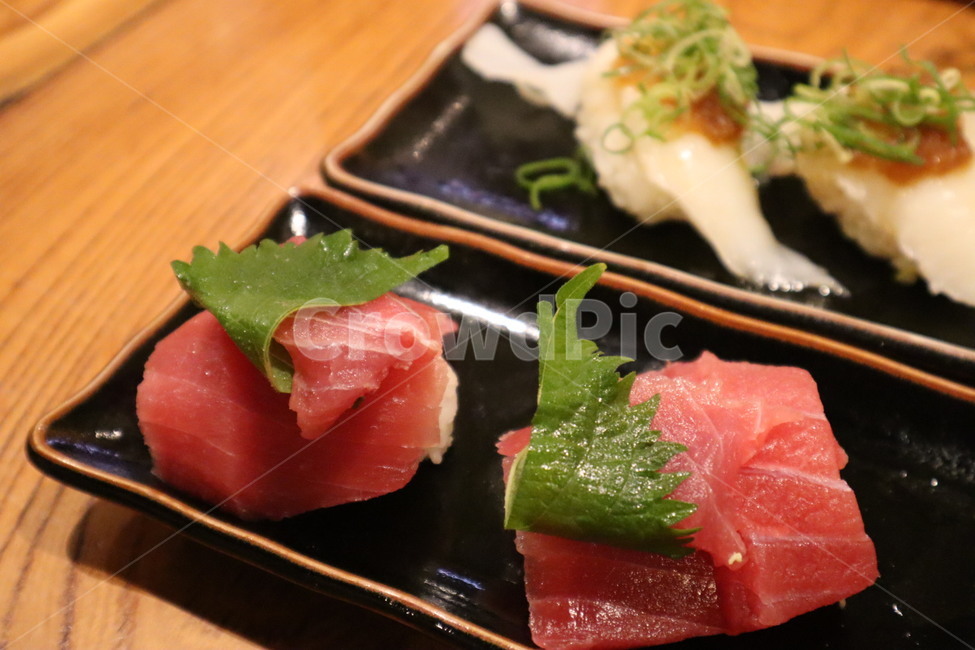 초밥,참치,일본,sushi,japan