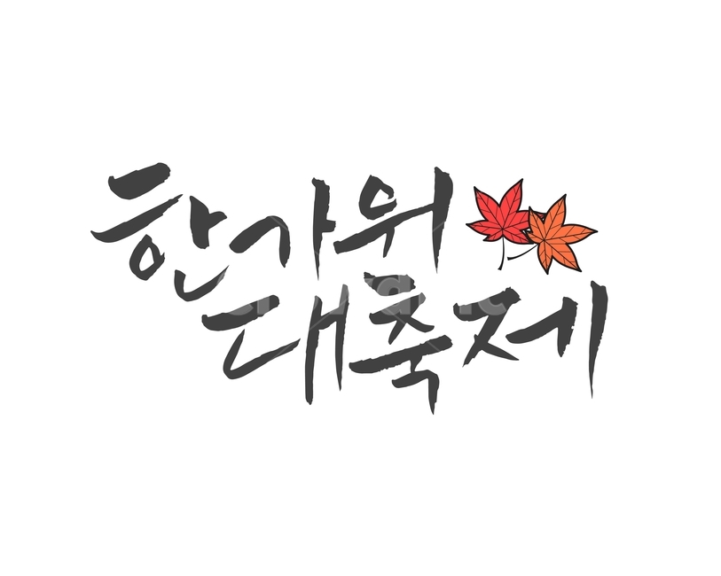 단풍잎,캘리그라피,손글씨,붓글씨,한가위,전통,명절,대보름,중추절,한국전통,한국문화,korean traditional,korean culture,누끼,remove background,캘리그라피,손글씨,calligraphy
