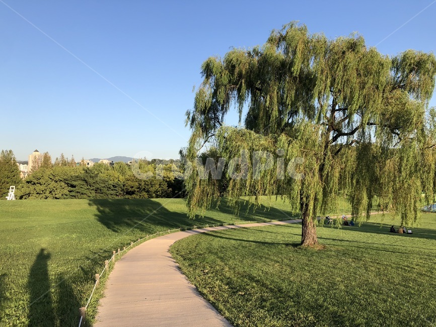 올림픽공원,올림픽,공원,가을,하늘,sky,park,나무,tree,blue,green,자연,풍경,nature,landscape,plant,식물