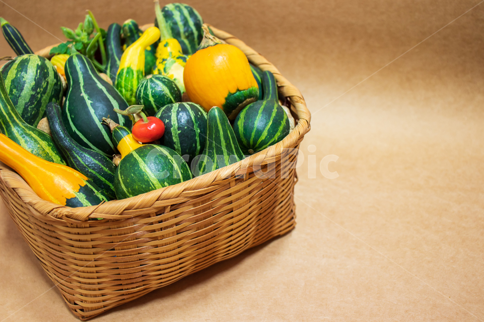 호박,색동호박,채소,음식,가을,식물,수확,관상용호박,관상호박,화초호박,페포호박,쿠쿠르비타페포,페포,꽃호박,박,관상용,미니호박,애호박,미니,풍요,풍성,수확물,농업,농사,열매,야채,배경,바탕,백그라운드,바구니,바스켓,그린,초록,초록색,자연,장식용,장식,데코,데코레이션,여름,싱싱한,신선한,건강,건강한,어린,작은,더미,무더기,할로윈,노랑,노란,노란색,주황색,주황,cucurbitapepo,pumpkin,fancygourd,ornamentalgourd,food,vegetable,autumn,squash,gourd,pumpkins,fall,harvest,basket,vegetables,green,agriculture,agricultural,natural,nature,ornamental,decorate,decoration,decorative,deco,decor,colorful,summer,foods,fresh,fruit,health,healthy,plant,young,mini,raw,farming,halloween,yellow,orange,pile,heap,background,채소,야채,vegetables,연출,컨셉,콘셉,direction,concept