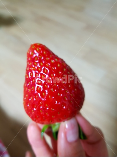 손,딸기,과일,빨간색,열매,음식,식재료,요리,food,cook,meal,dishes,food reserves,과일,열매,fruit
