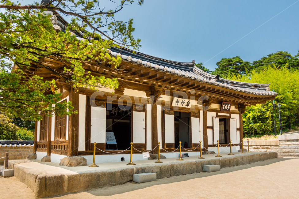 신사임당,율곡,강원도,유교,오죽헌,outdoors,garden,역사,건물,유산,한국전통,한국문화,korean traditional,korean culture