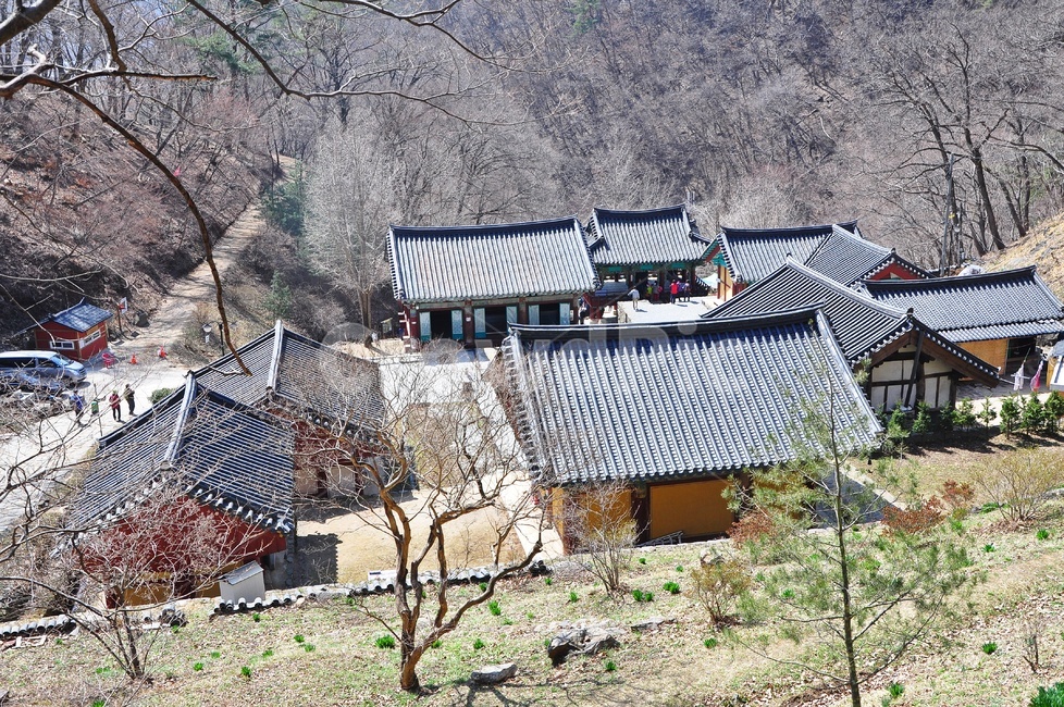 충남,청양,장곡사,절,사찰,봄,봄나들이,계절,nature,자연,outdoors,옥외,human,인간,person,사람,building,건물