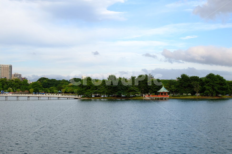 park lake,Ohori Koen,japan,lake park,Ohori Park,Fukuoka,lake