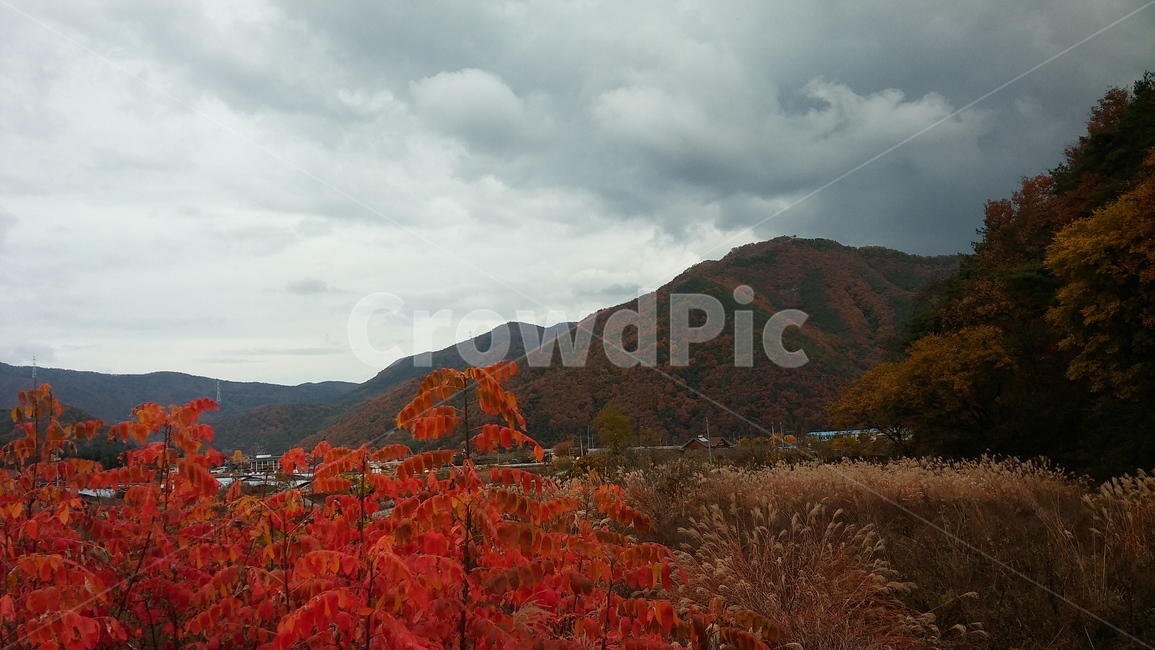 산,가을,단풍,낙엽,풍경,가을,계절,fall,autumn,season