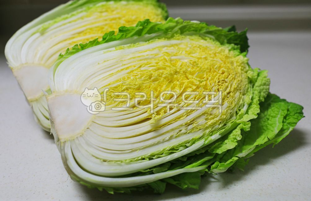 배추,김치재료,채소,야채,김장배추,식재료,음식,배추잎,포기배추,음식재료,food,vegetable,cabbage