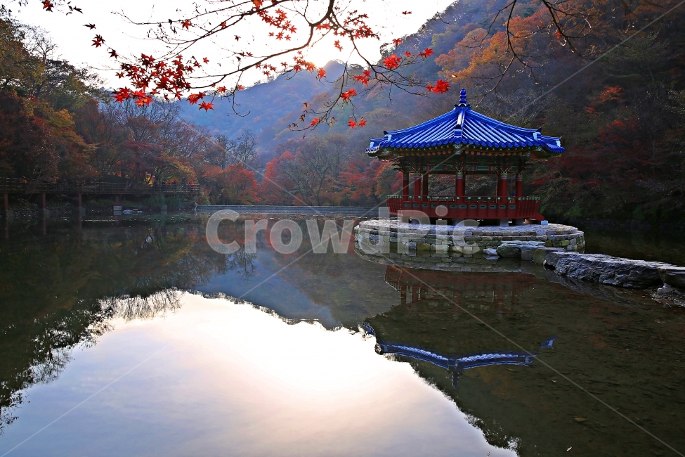내장산국립공원,우화정의가을,단풍,가을,우화정,내장산,가을,계절,fall,autumn,season,자연,풍경,nature,landscape,한국자연풍경,한국자연경관,korea nature landscape,한국전통,한국문화,korean traditional,korean culture