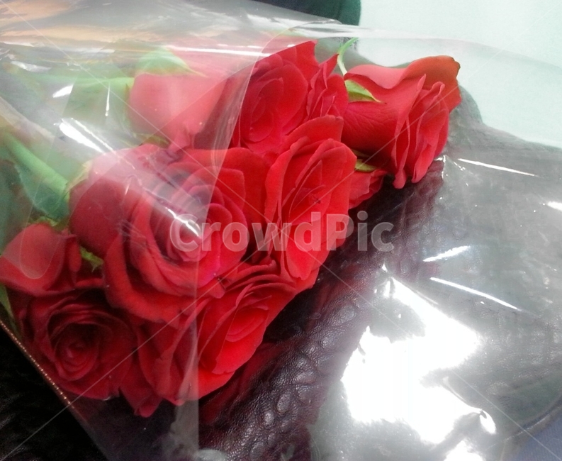 꽃,장미,빨간장미,redrose,rose,꽃다발,장미꽃다발,flower,꽃선물