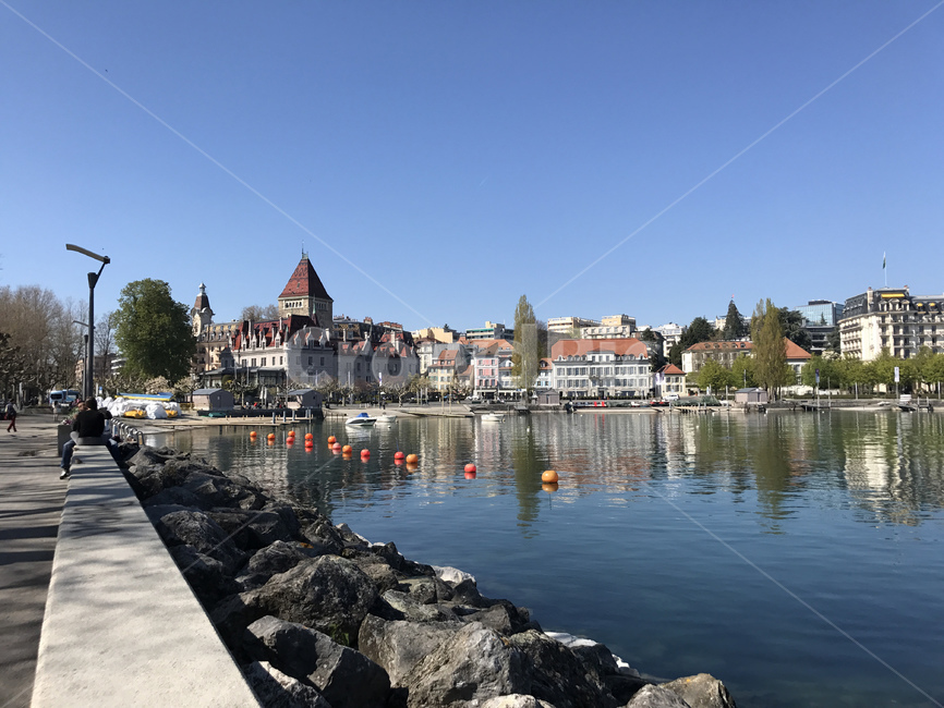 스위스,나무,풍경,호수,switzerland,tree,view,lake,morges,piecefull,고요,nature,자연,water,물,outdoors,옥외,해외,외국,세계,foreign,oversea,world