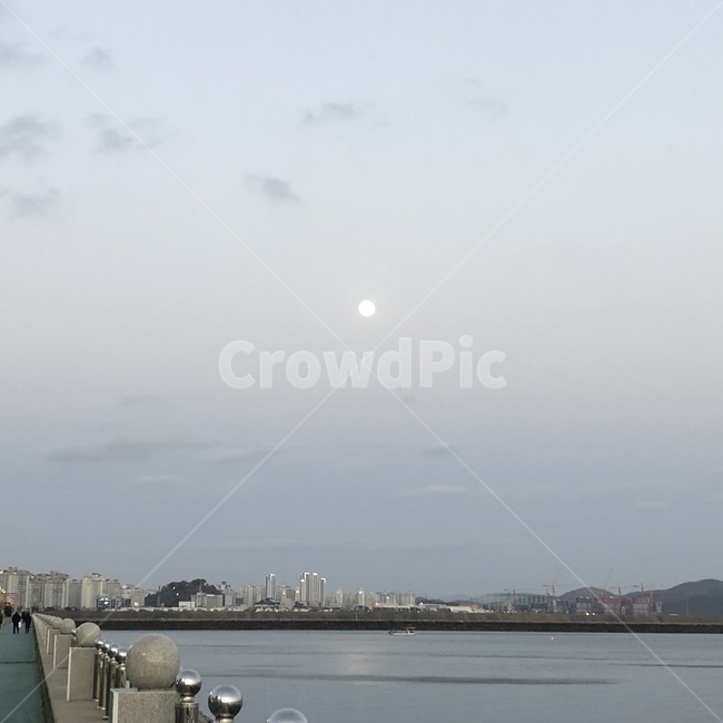 바다,하늘,달,저녁,저녁하늘