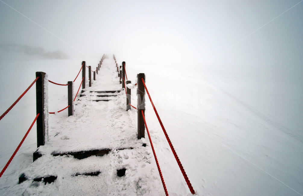 겨울산,한라산,설경,제주도,눈,한라산설경,탐방로,안개,운무,겨울,계절,winter,season