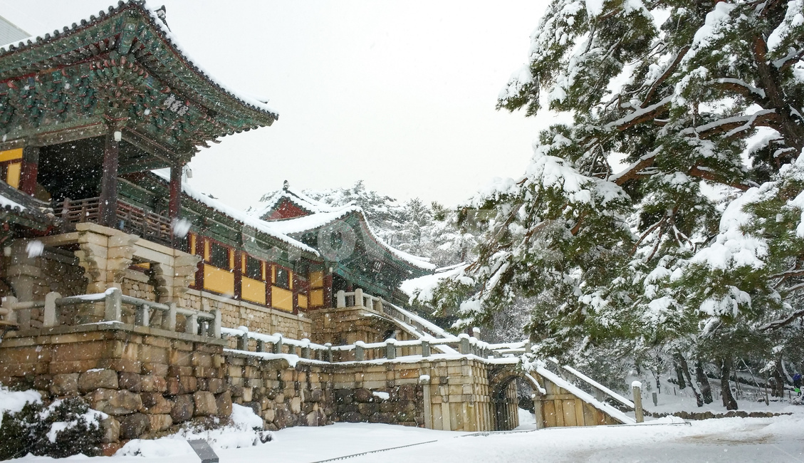 눈,설경,불국사,경주,snow,bulguksa,temple,gyeongju,korea,landmark,unesco,heritage,겨울,계절,winter,season,한국전통,한국문화,korean traditional,korean culture,랜드마크,landmark,tourist attraction,한국랜드마크,한국관광지,한국명소,korea landmark,korea tourist attraction,건축물,건물외관,exterior,building,structure,architecture,construction