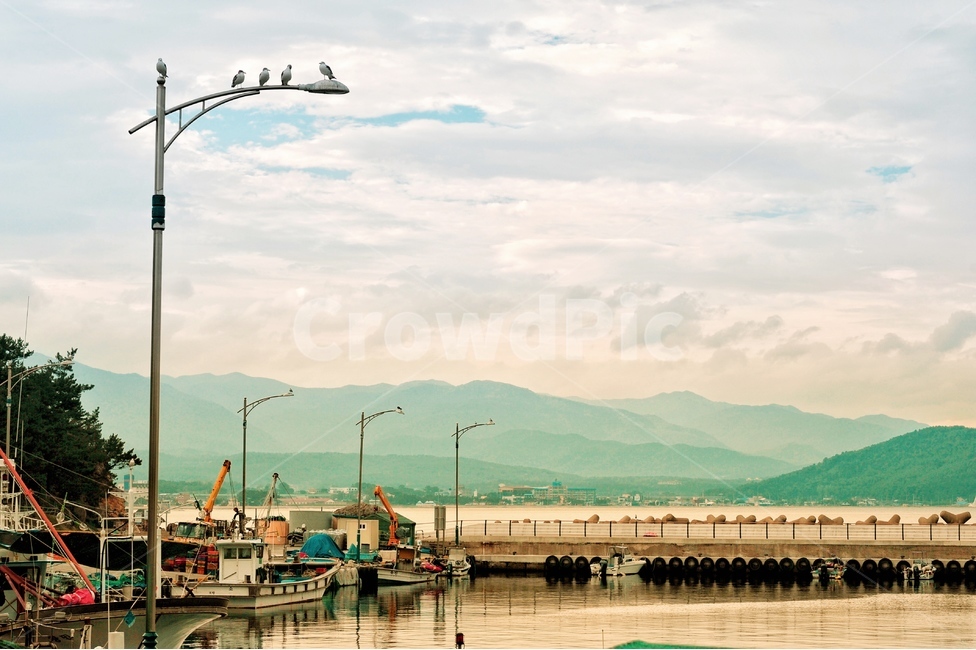 동해,바닷가,고깃배,노을,갈매기,감성,갈마구,스냅,감성,sensible,feeling,산업,industry,industrial,어업,fishery,fishing industry