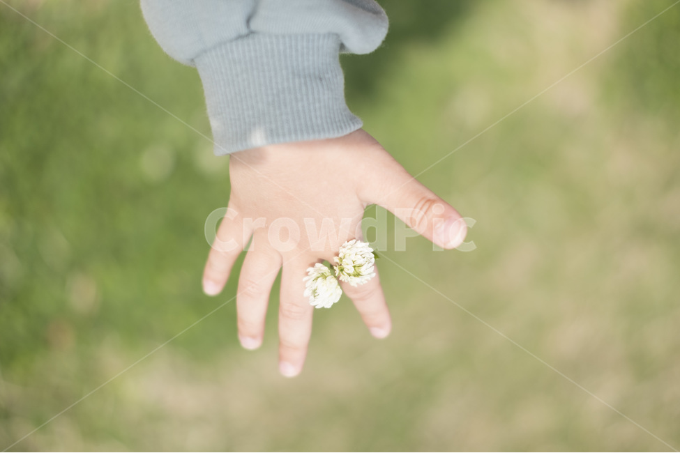 아이손,꽃반지,감성,육아,놀이,자연,사람,인물,인간,human,person,신체일부,몸,body,어린이,어린아이,child,children,kid