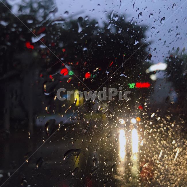 조명,비,도시,불빛,도로,길,비,비오는날,rain,rainy