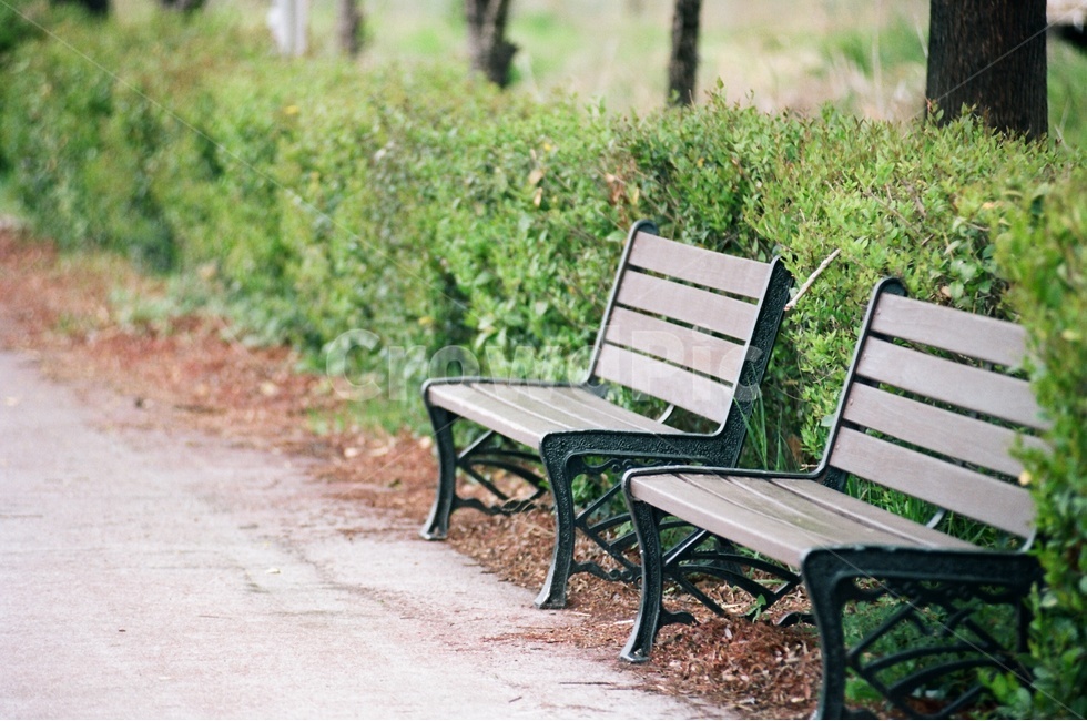 벤치,공원,휴식,감성,계절,봄,빈티지사진,꽃,나무의자,나무,낙엽,휴식,힐링,rest,relaxation,healing