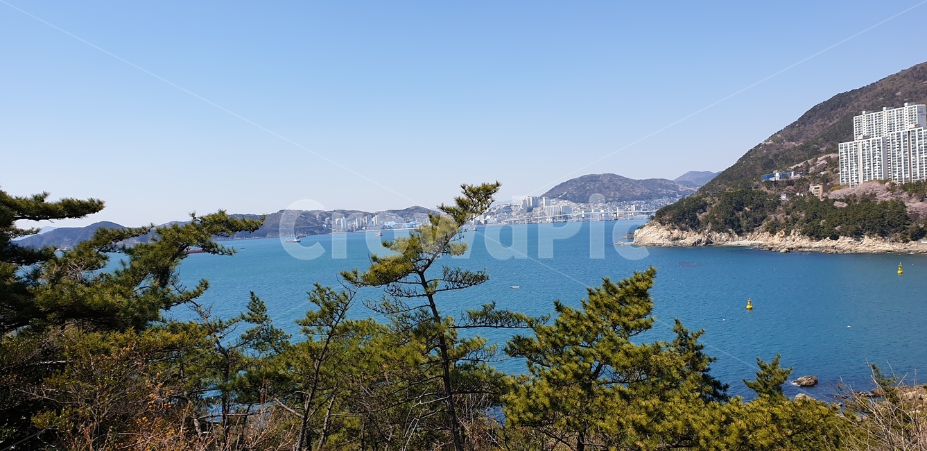 바다,자연,봄,산길,벚꽃