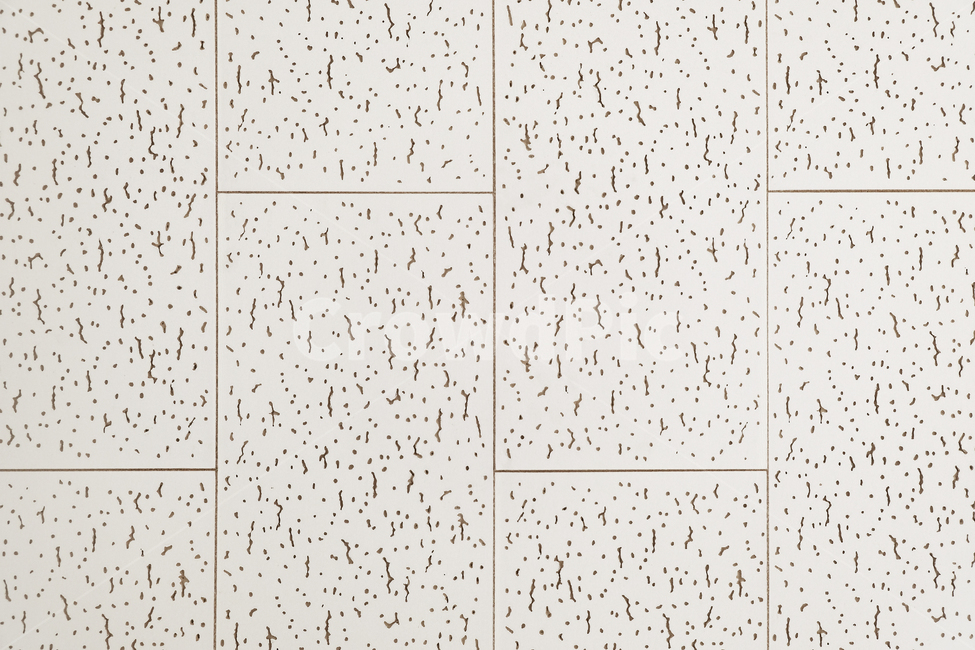 배경,질감,돌,패턴,무늬,목조,나무,background,texture,stone,pattern,wooden,tree,wood,텍스처,질감,패턴,texture,pattern