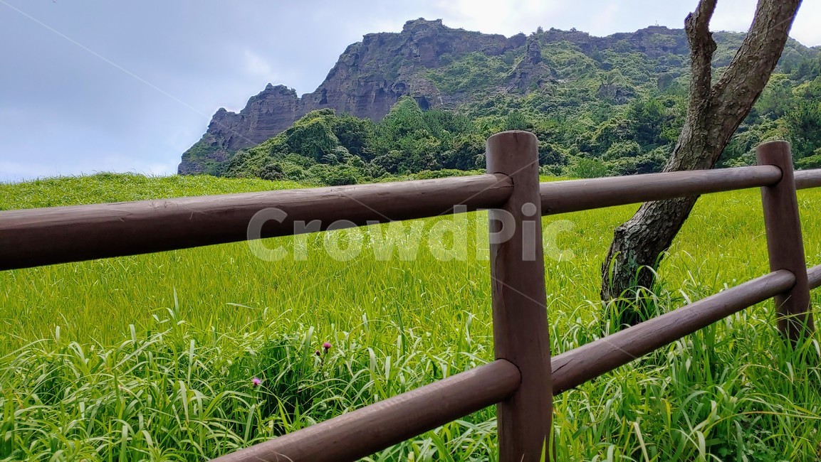 제주도비경,성산일출봉,jejuisland,seongsanilchulbong,제주도,울타리,자연,nature