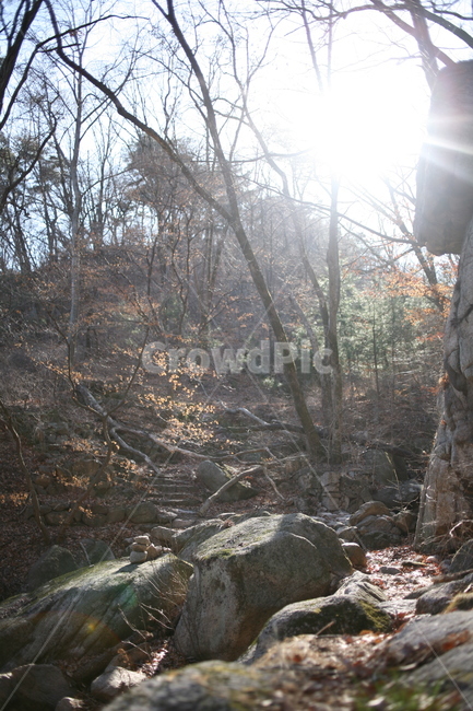나무,풍경,tree,북한산,산,mountain,forest,숲