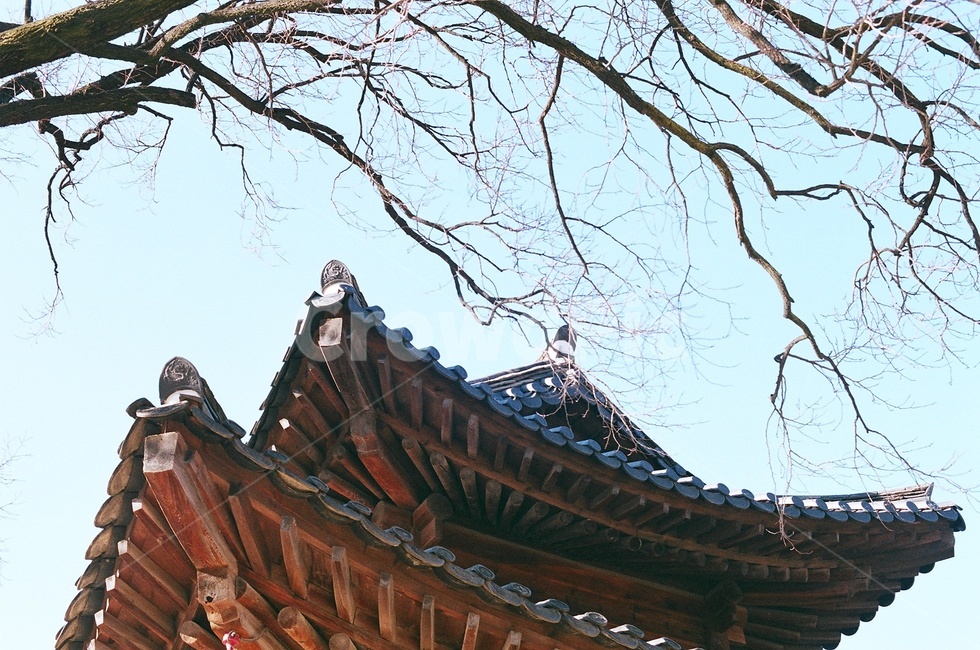 덕수궁,필름사진,필름카메라,filmphoto,filmphotography,filmcamera,building,건물,architecture,건축물