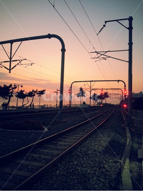 일출,정동진,해돋이,철도,철길,교통,교통수단,traffic,transportation,train track,기찻길,rail,레일,railway