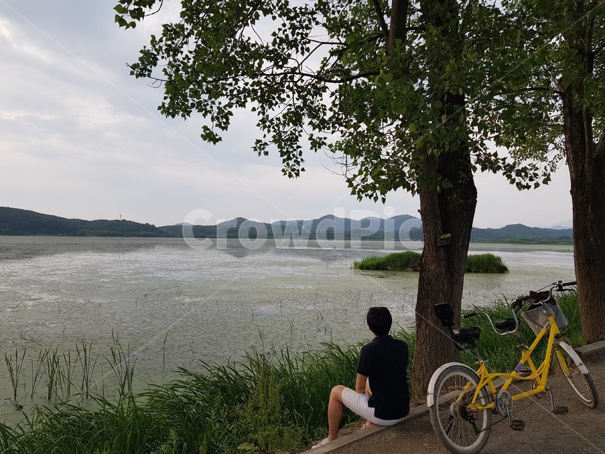 bicycle,자전거,사람,human,늪,swamp,창녕,우포늪